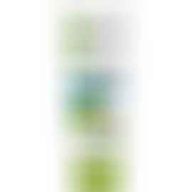 Garnier PureActive Matcha Deep Clean Foam 100ml Al Ain Abu Dhabi UAE